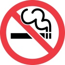 No Smoking Icon